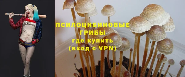 spice Алексеевка