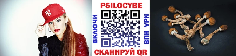 Псилоцибиновые грибы Cubensis  Нарьян-Мар 