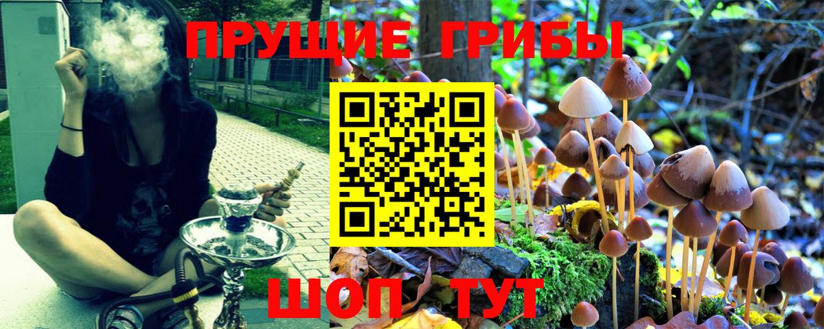 Нарьян-Мар  Псилоцибиновые грибы Magic Shrooms  Вход с VPN  Псилоцибиновые грибы GOLDEN TEACHER 