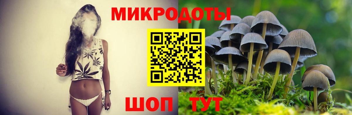 Галлюциногенные грибы мухоморы Нарьян-Мар